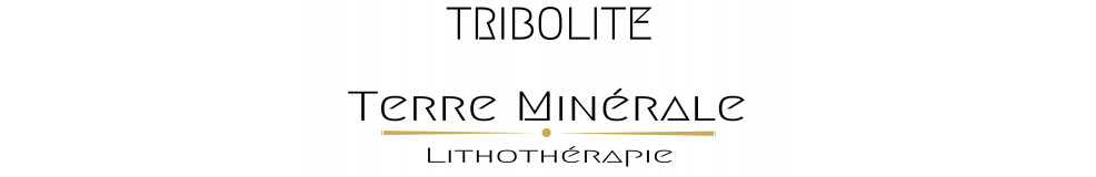 TRIBOLITE