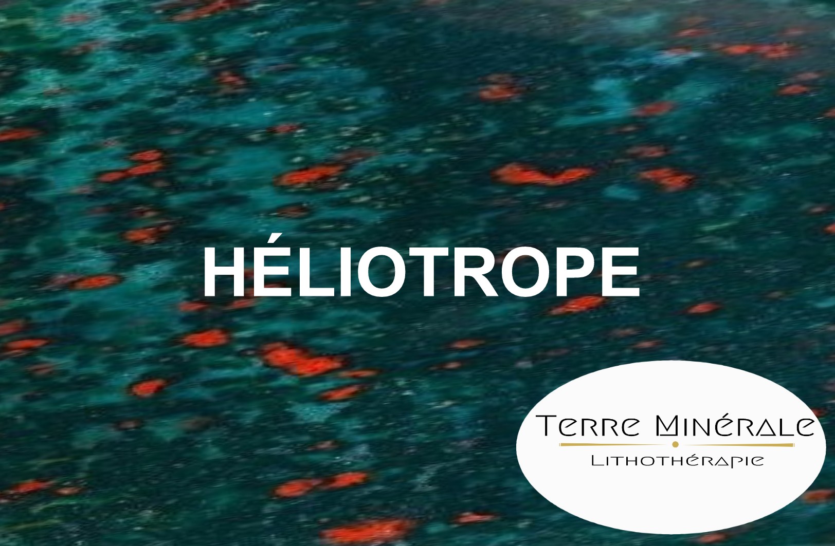 HÉLIOTROPE