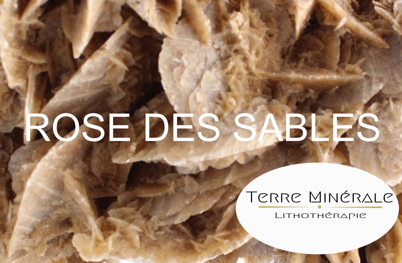 ROSE DES SABLES