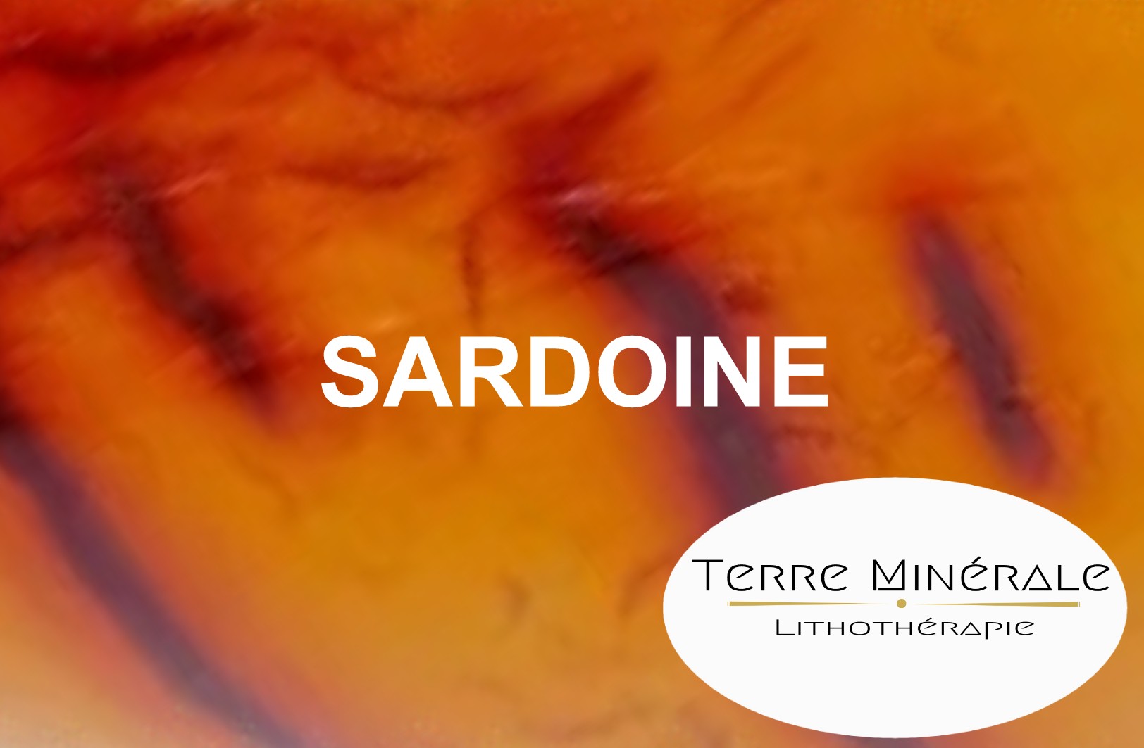 SARDOINE