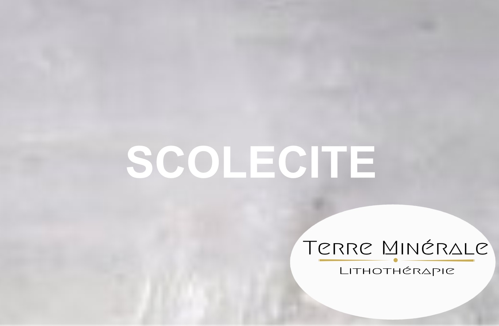 SCOLECITE