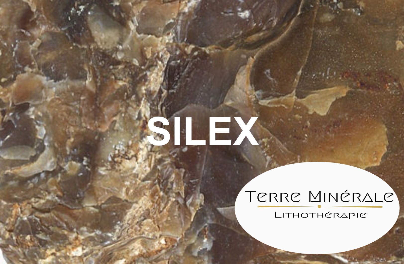 SILEX