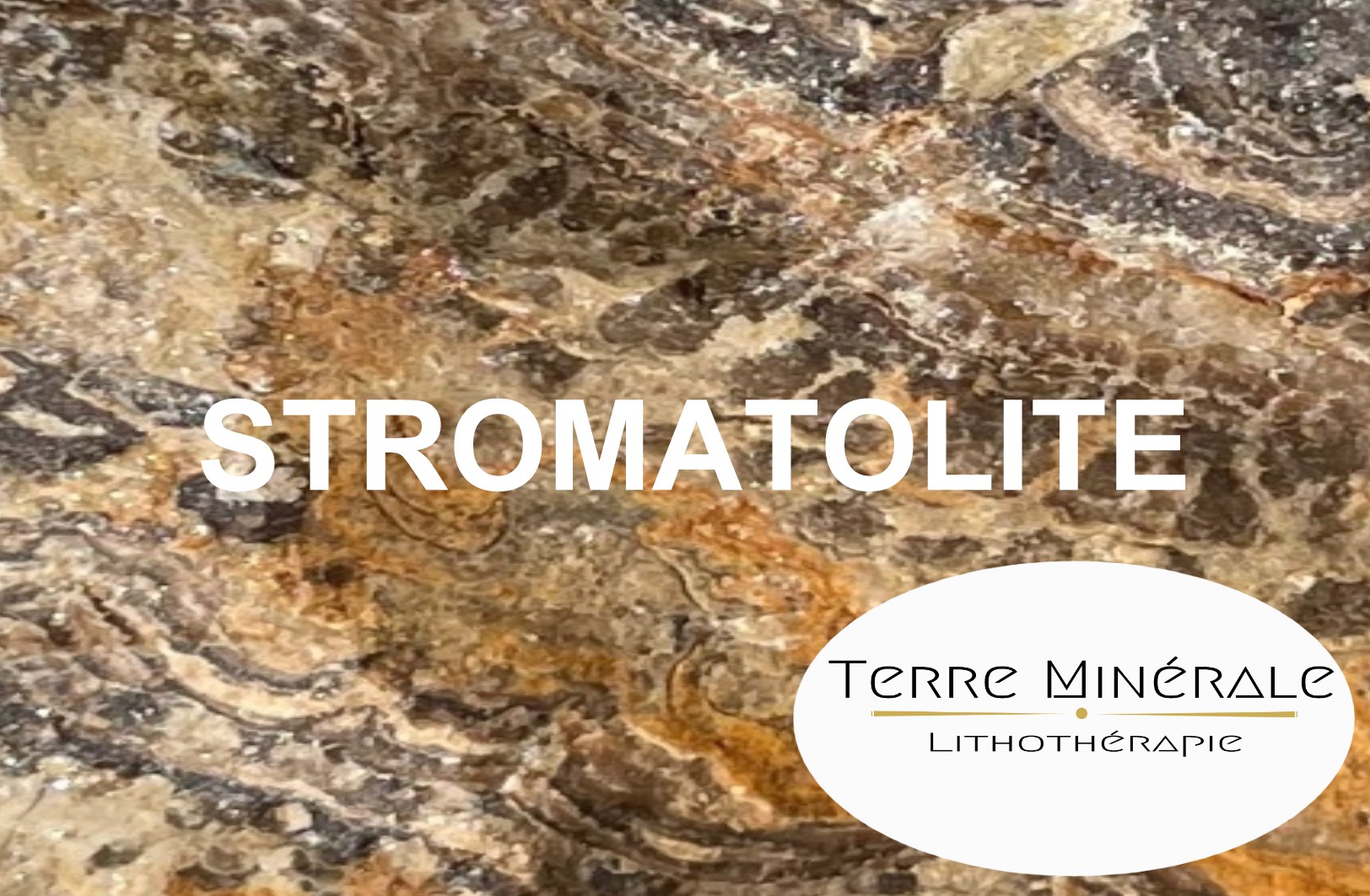 STROMATOLITE