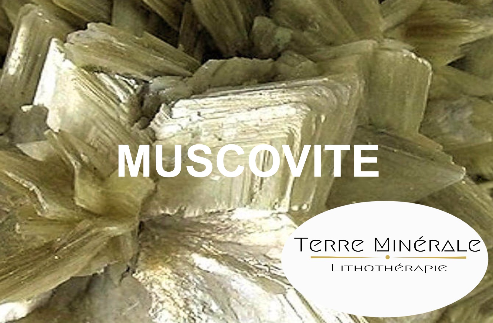 MUSCOVITE